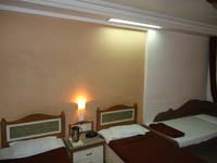 Hotel Venus International