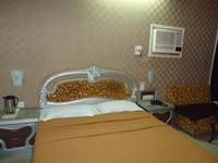 Hotel Venus International