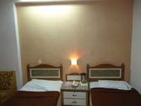 Hotel Venus International
